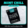 DUDE WIPES XL On-the-Go Flushable Wipes, Mint Chill, 4 ct., 120 wipes - Image 2