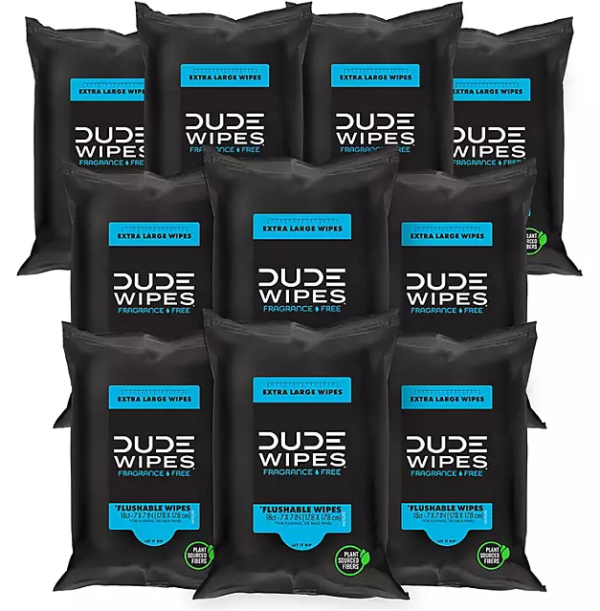 DUDE WIPES XL Travel Flushable Wipes, 10 ct., 180 wipes