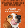 Purina Moist & Meaty Burger with Cheddar Cheese Flavor, Adult Dog Food, 6 oz., 60 ct. - Image 2