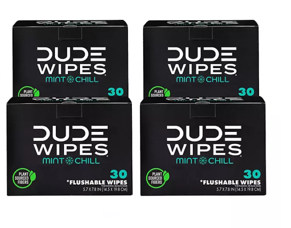 DUDE WIPES XL On-the-Go Flushable Wipes, Mint Chill, 4 ct., 120 wipes